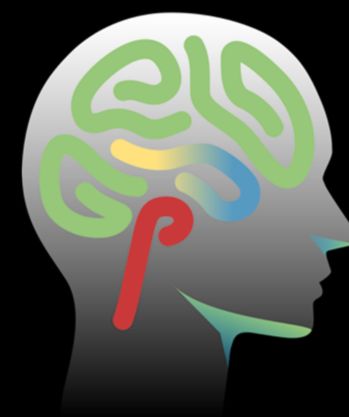 Growing Influence of Neuroscience in Sales-Img1